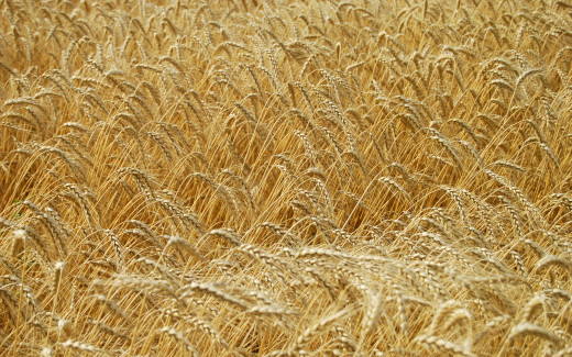 1144255 (a): :1920x1200
